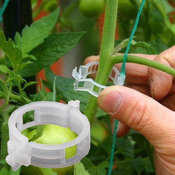 Green Plant Hold Clips