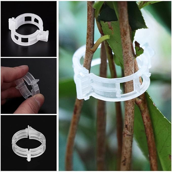 Green Plant Hold Clips
