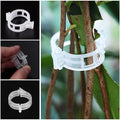 Plant Support Clips