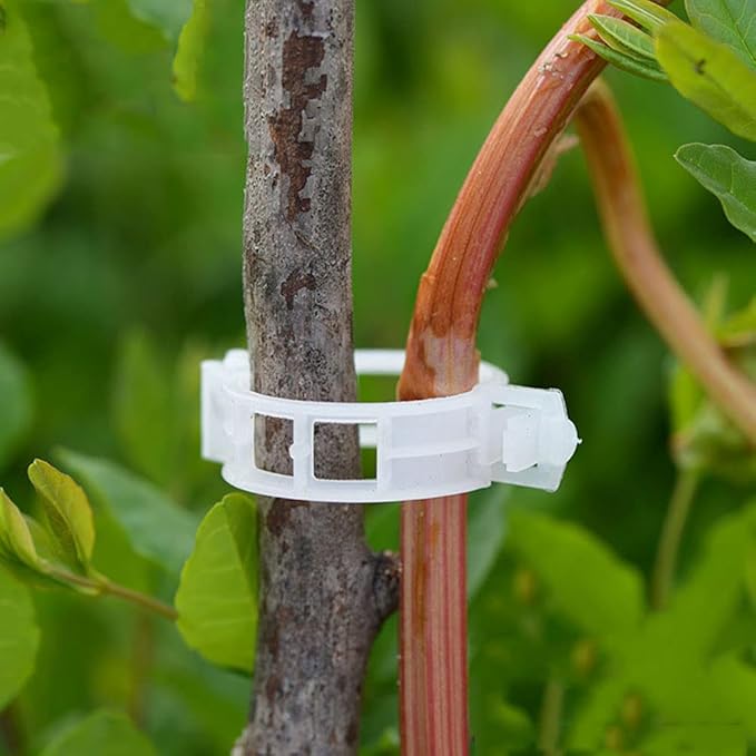 Green Plant Hold Clips