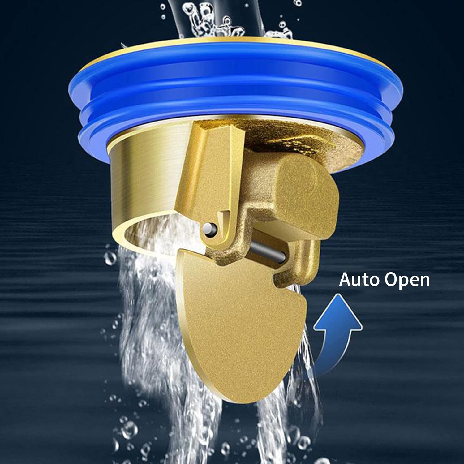 Floor Drain Backflow Preventer