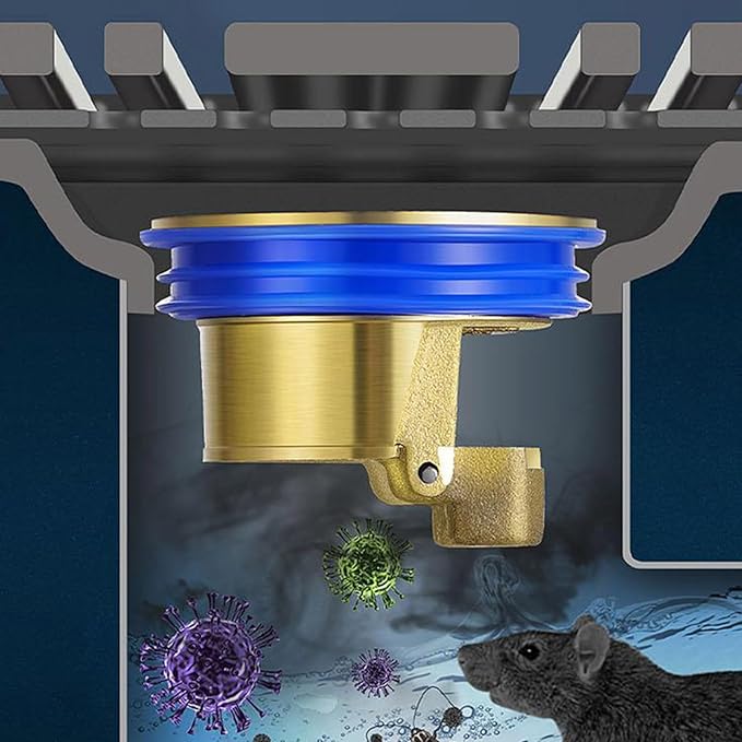 Floor Drain Backflow Preventer