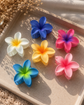 Large Plumeria Flower Claw Clip
