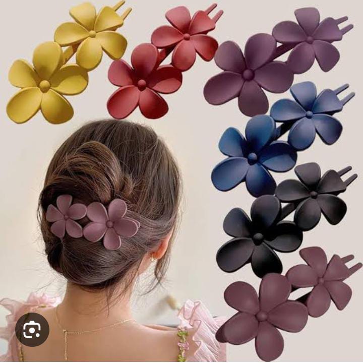Korean Hair Clips - Random Colors