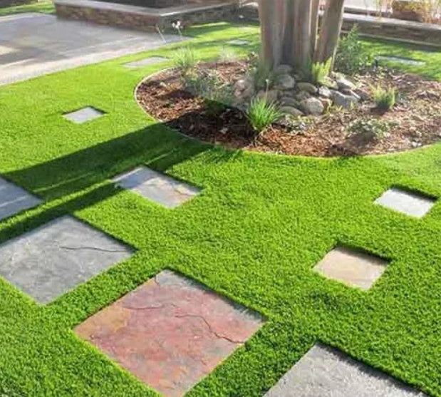 Evergreen Grass Seeds